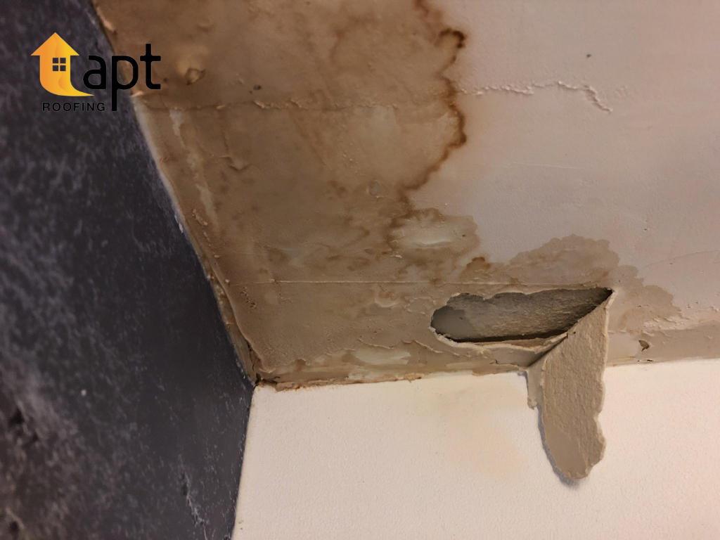 roof leak repair