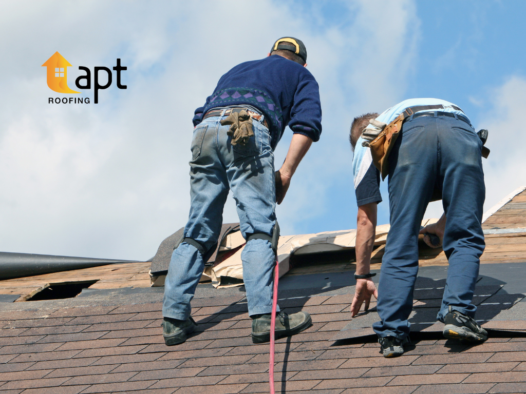 Roof Replacement in Ryde